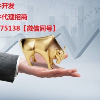 開(kāi)發(fā)股票軟件怎么選擇專(zhuān)業(yè)的軟件開(kāi)發(fā)商