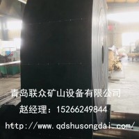 炭素斗式提升機(jī)皮帶質(zhì)量穩(wěn)定可靠