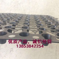 郴州車庫排水板，蓄排水板，疏水板廠家發(fā)貨