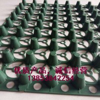 玉溪2公分車庫排水板，廠家供應(yīng)