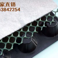 供應(yīng)寧夏車庫(kù)排水板蓄排水板，廠家直銷