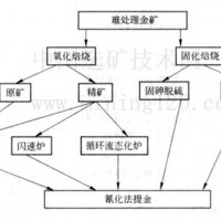 鉑思特低品位原生金礦石的生物柱浸工藝，選金尾礦渣回收金的設(shè)備