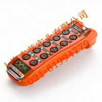 行車遙控器，天車遙控器，進(jìn)口遙控器