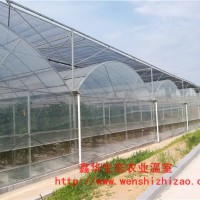 智能溫室連棟大棚 遮陽連棟大棚塑料薄膜 蔬菜農(nóng)業(yè)連棟大棚